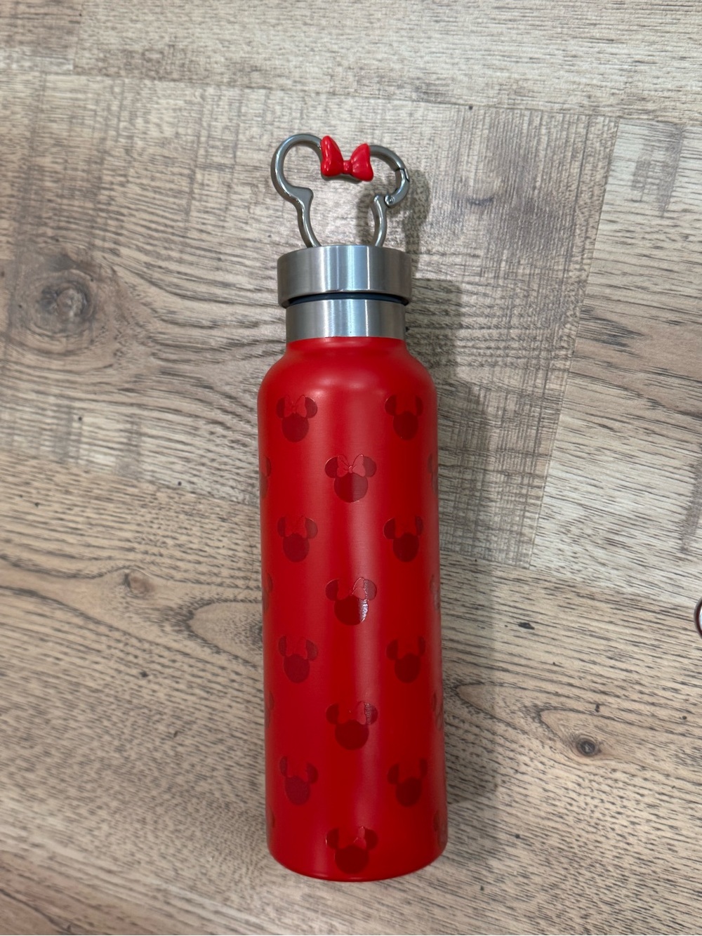 Disney Red Stainless Steel Water Bottle with Bow Keyring